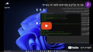 קליקים מזוייפים בממומן